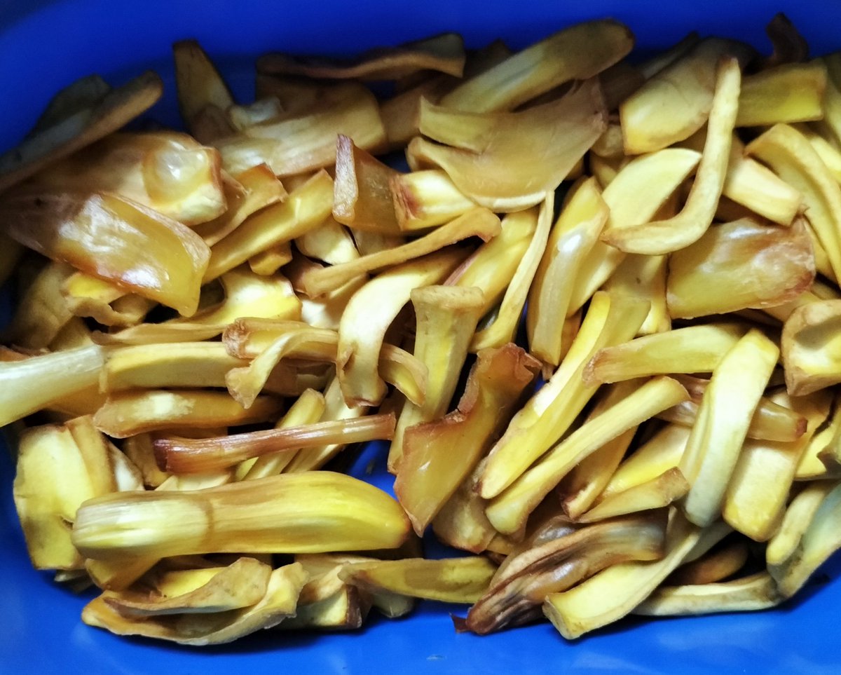 Jackfruit Chips anyone! 
#homemade