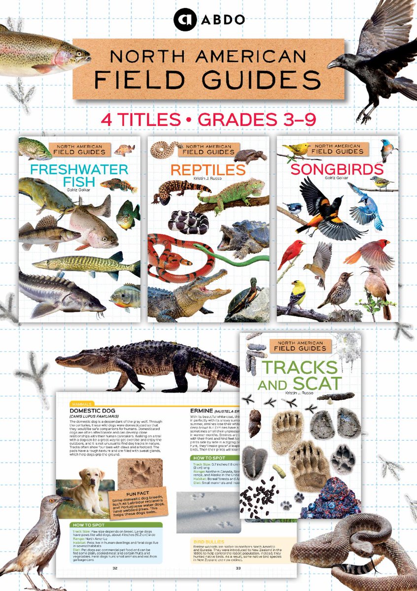 North American Field Guides provide all the information readers need to identify freshwater fish, songbirds, reptiles, and even tracks or scat. Order your set today! abdobooks.com/shop/show/17652