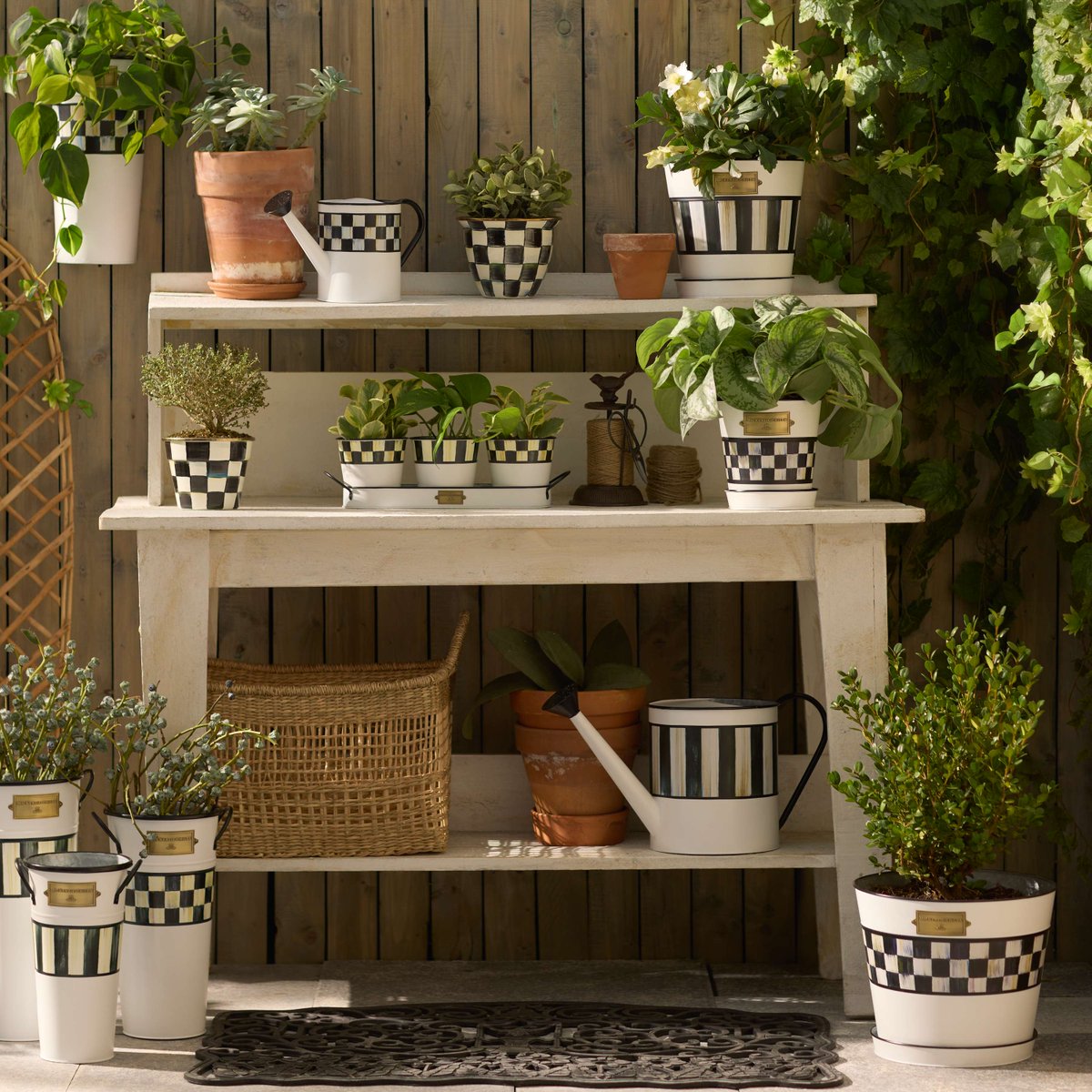 Don't miss out on the chance to transform your garden into a beautiful sanctuary with our stunning collection!  Pre-order now to secure your favourites.  Hurry, orders must be in by the end of the week!  #GardenGoals #PreOrderNow

mackenzie-childs.co.uk/pre-order