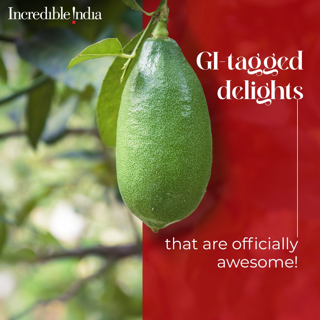 Indiainchile's tweet image. #Quickfact: Kashmiri Saffron is like no other, growing way up high at 1,600-1,800 m above sea level! How many GI-tagged foods have you tried? Share below.   #myincredibleindia #incredibleindia #visitindia #exploreindia #incrediblycurated #Uttarpradesh #kashmirtourism #mizoramfood