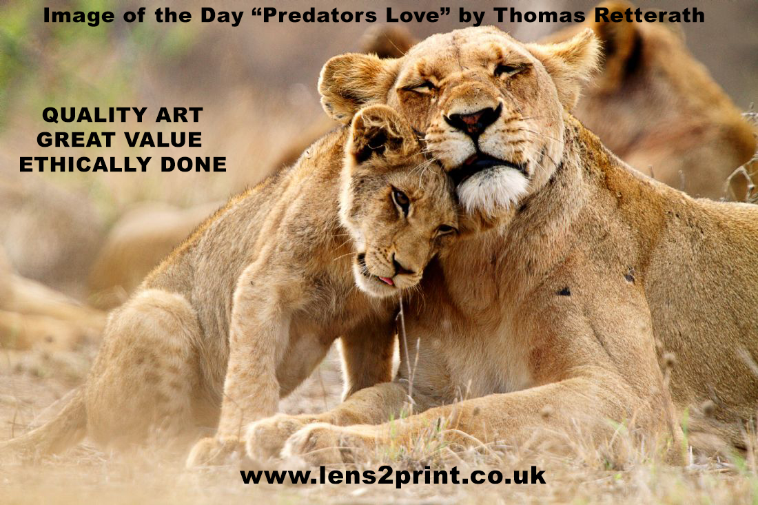 For more fabulous images from Thomas: bit.ly/ThomasRetterath lens2print.com QUALITY ART * GREAT VALUE * ETHICALLY DONE #lens2print #freeukshipping #ethical #canvasprints #bestvalue #firstforart #gifts #qualityart #bestprices #acrylicprint