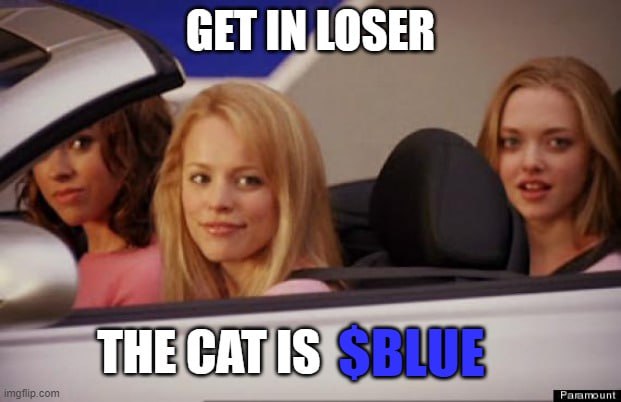 CatIsBlue_'s tweet photo. @WhaleInsider $BLUE is the way @CatIsBlue_ https://t.co/373IgHwQ6E