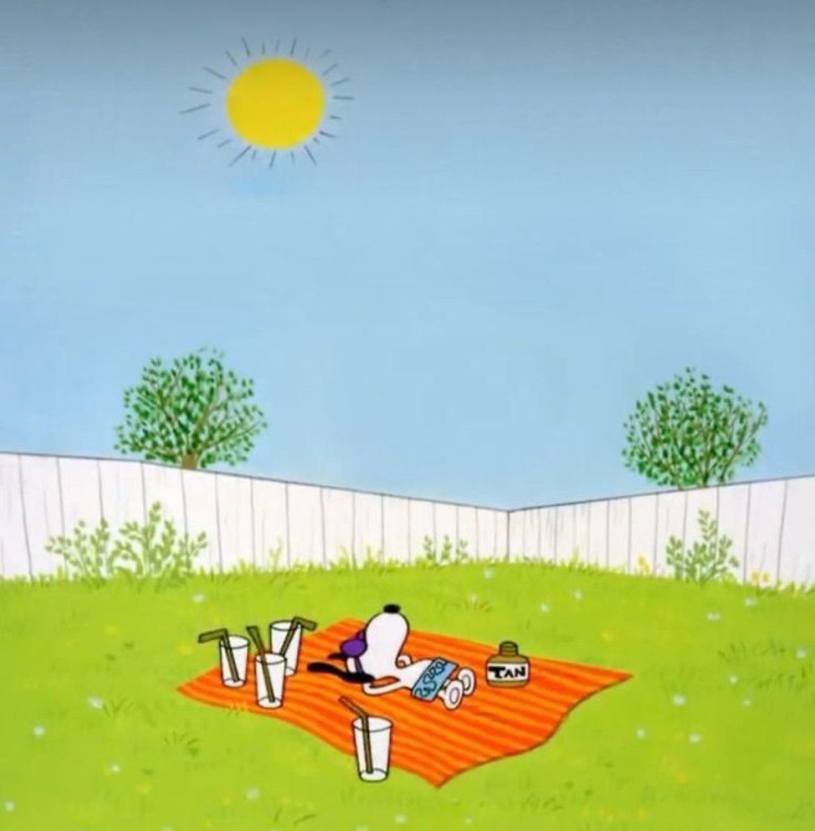 snoopy image of the day