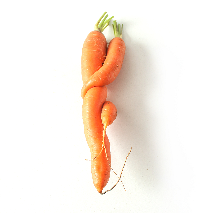 Are you ready to embrace imperfection? Slightly misshapen fruits and vegetables often get left on grocery shelves—if they reach them at all! Embrace these “ugly” foods to reduce food waste and support environmental #sustainability #earthmonth #umstudent