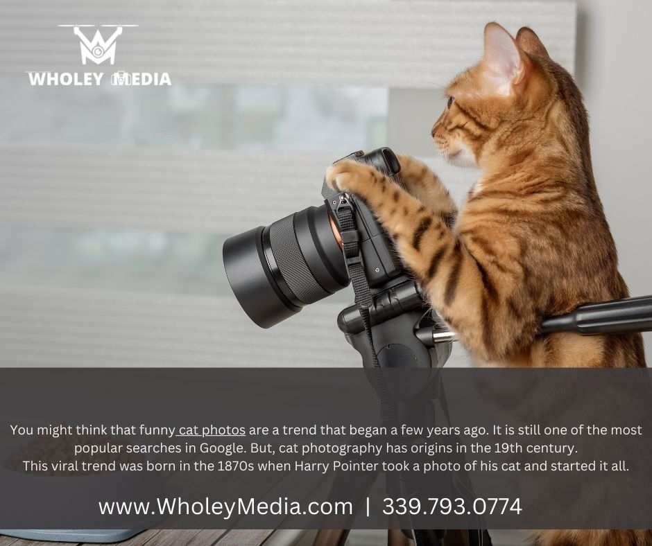 Ever wondered about the origin of funny cat photos? 🐱 Believe it or not, this viral trend dates back to the 19th century! In the 1870s, Harry Pointer snapped a photo of his cat, sparking a craze that continues today. Let's give a shoutout to the man who started it all! 📸👏 #...
