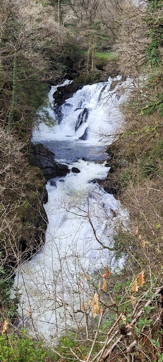 Geographer Jones tweet media