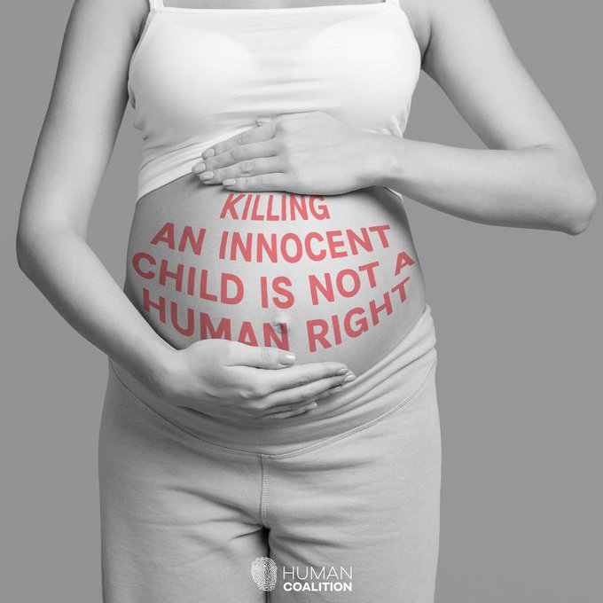 LifeNews.com tweet media