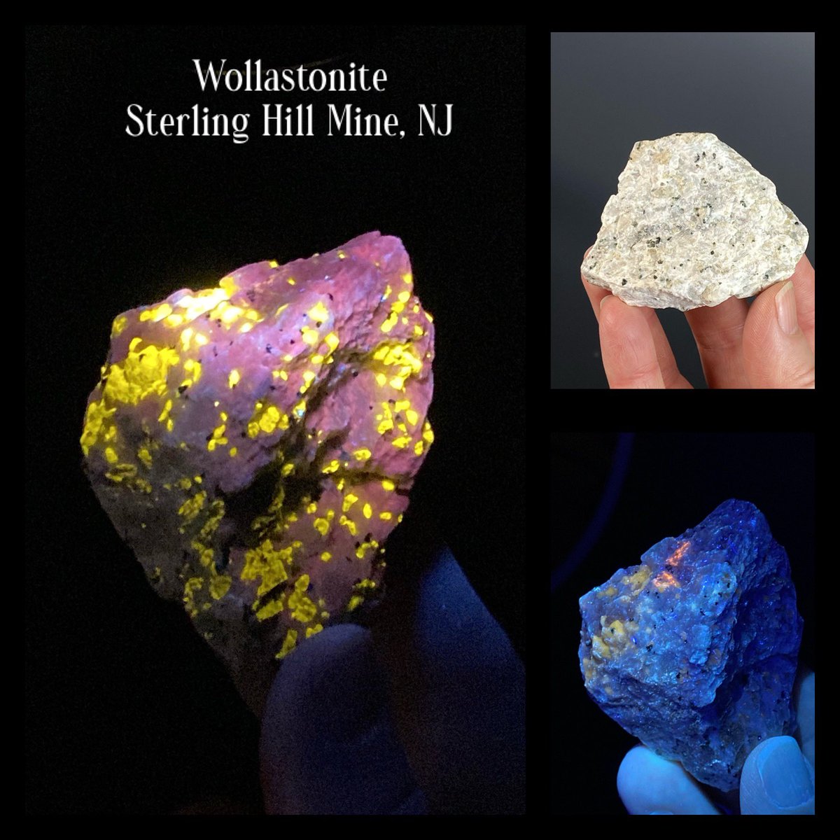 Short Wave UV Reactive Wollastonite on Calcite from Nobel Pit, Sterling Hill Mine, NJ $20 plus shipping.

oldearthminerals.com/shop/p/wollast…

#wollastonite #fluorescentminerals #minerals #fluorescent #crystals #mineralspecimen #fluorescentrocks