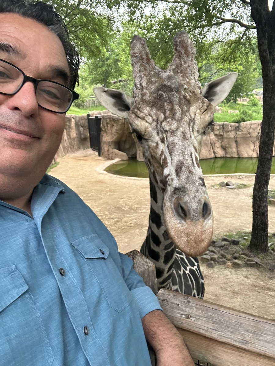 Crowdsourcing call: we’re focusing on reaction of animals in path of #Eclipse2024. If you capture any video or anecdotes, reach out to me! My friend Tobogo at the Dallas Zoo says help us out!