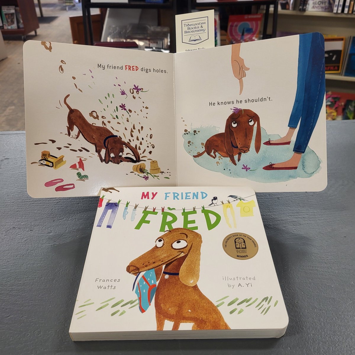 This delightful CBCA award-winning picture book is about a friendship between an exuberant but loveable dachshund & his more retiring, tidy housemate. My Friend Fred by Frances Watts & A. Yi is today's #WoofWednesday #Book in-store! 💕🐶📚🐕