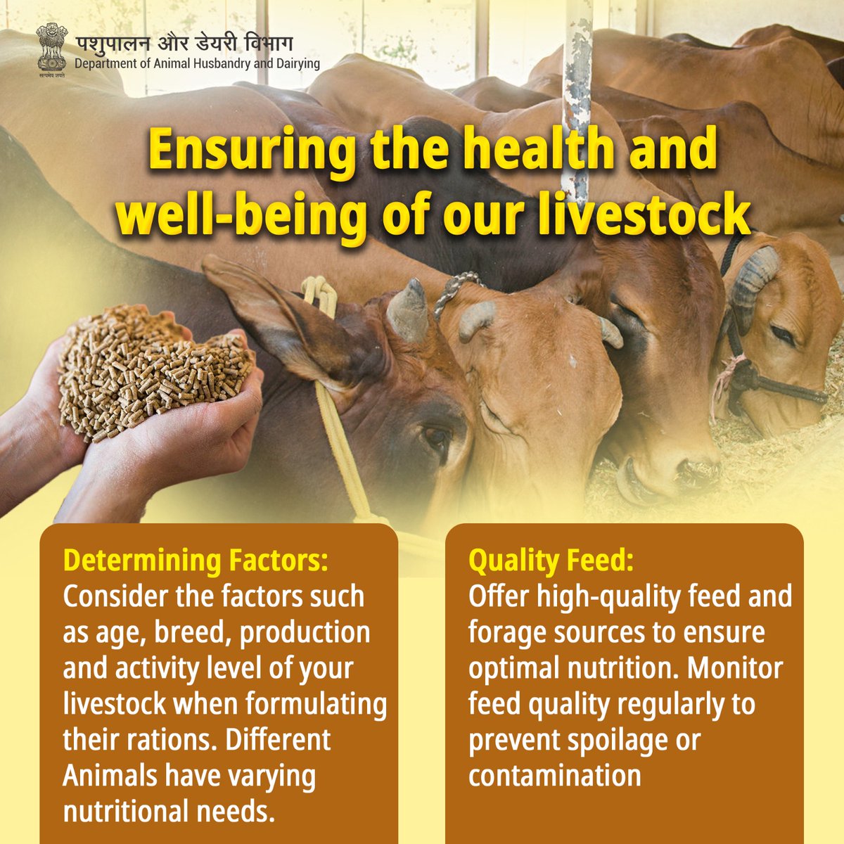 Feed well, thrive better! 🌾Ensuring top-notch nutrition tailored to every hoof, feather, or paw. #LivestockNutrition #qualityfeed @PRupala @mygovindia @drsanjeevbalyan @Murugan_MoS @PIB_India @MIB_India @NDDB_Coop @PIB_MoFAHD @DOAHUP