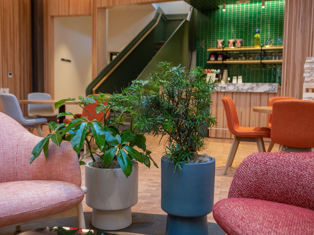 JMDLandscapes's tweet photo. Sounds of nature fill the room as soft leaves move gently, making it feel like a peaceful indoor garden where calmness and creativity come together in a beautiful mix of green shades.

https://t.co/BceIt7U7uK https://t.co/pKrW8vSFDq