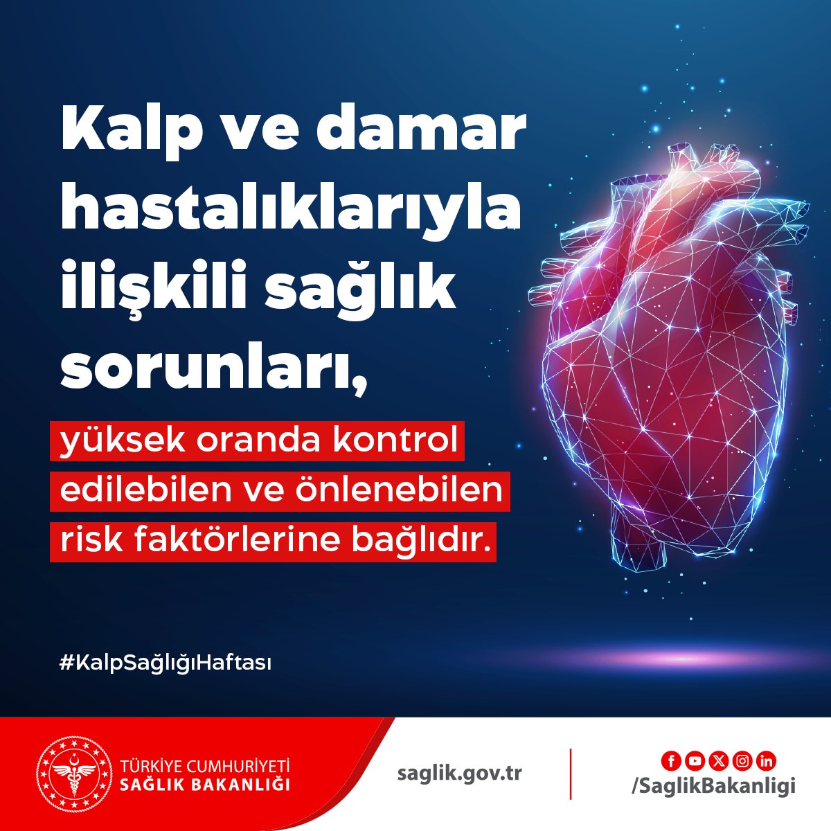 Kalp ve damar hastalıklarıyla ilişkili sağlık sorunları, yüksek oranda kontrol edilebilen ve önlenebilen risk faktörlerine bağlıdır. Özellikle tütün kullanımı, sağlıksız beslenme ve hareketsiz yaşam alışkanlıkları gibi risk faktörleri, kalp ve damar sağlığını olumsuz yönde