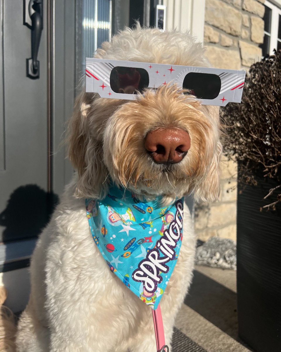 Happy Eclipse Day, Pharmacy Buckeyes! 🌞 You always brighten our day ❤️ Be sure to follow Springer's model and wear your eclipse glasses when viewing today's amazing event! 😎