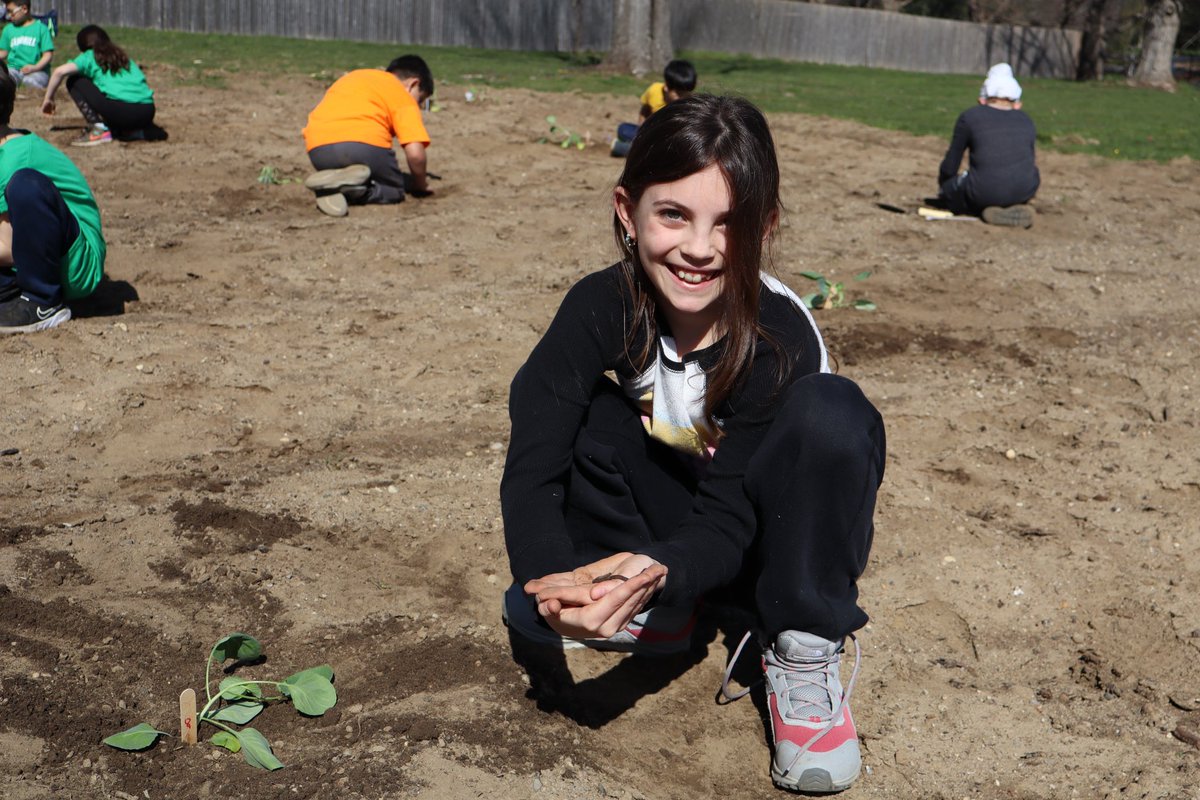 Commack Schools tweet media