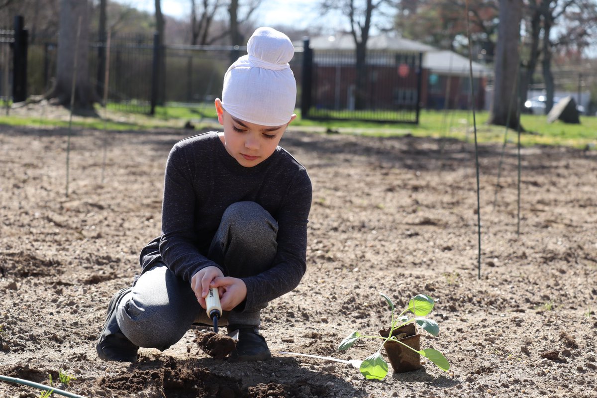 Commack Schools tweet media