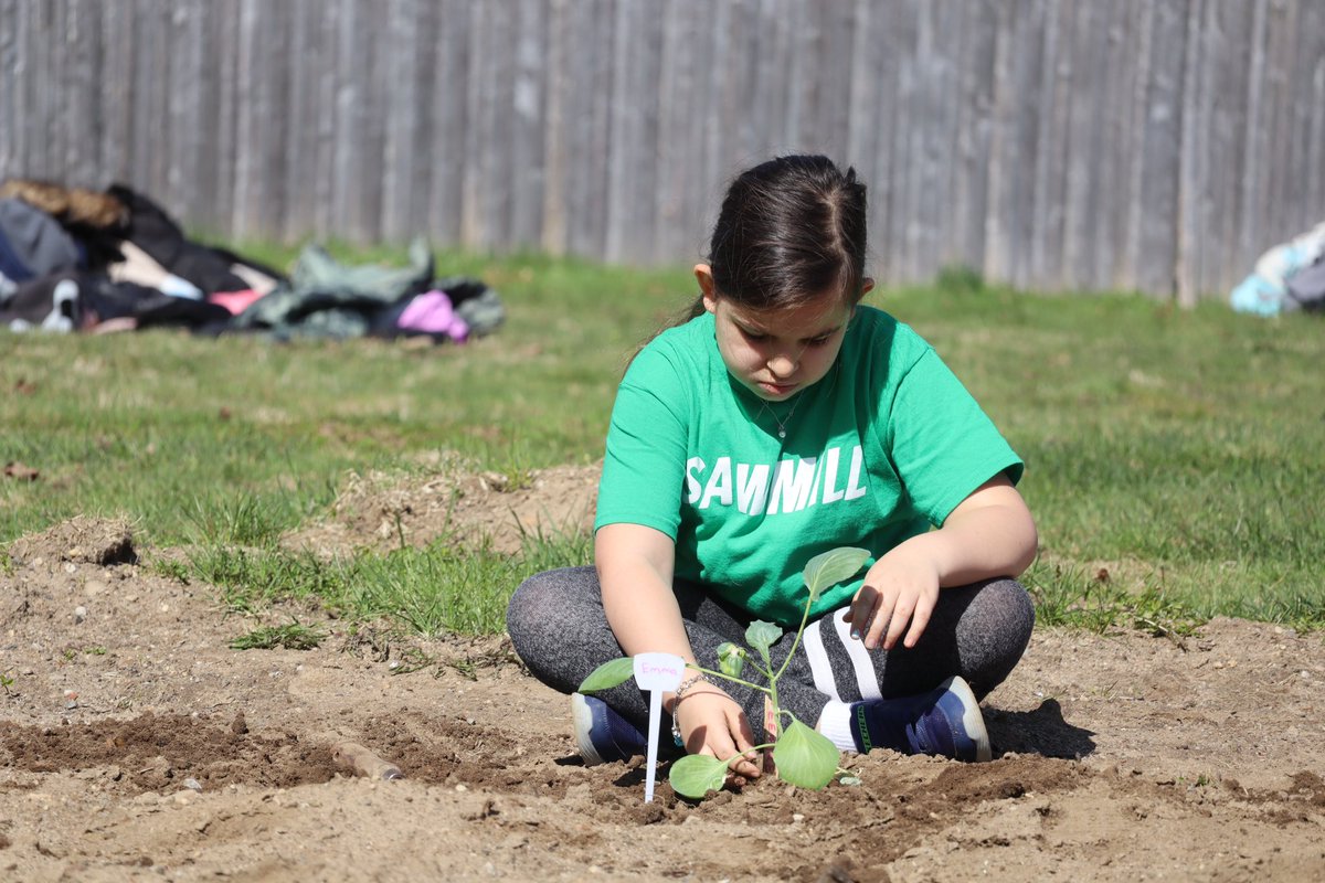 Commack Schools tweet media