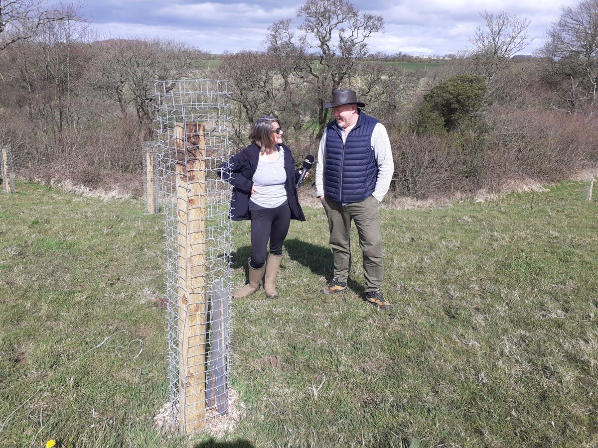 Tree Amble - out today with BBC at Torpenhow Cheese Co talking on planting trees into their pastures - great to hear all the positives of blending trees and pasture for dairy cows.. yes its possible! @TimNicholsonWWF @PastureForLife @NFFNUK