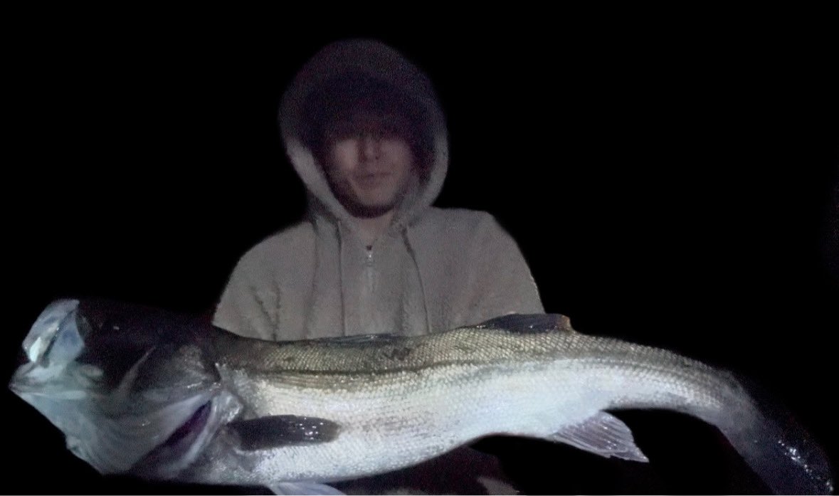 zakky0727's tweet photo. ２連続ランカー

Rod : WORLD SHAULA 2833RS-2
Reel : 20STELLA SW4000XG

#内房 #ランカーシーバス https://t.co/fYbQI4t59Y