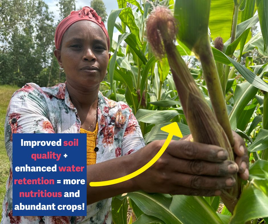 🌱Our team teaches sustainable farming practices to farmers in #Ethiopia as part of natural resource management efforts 🐛Mulching 💧Building water-conserving structures 🌴Reforestation We improve agriculture thanks to support from @Czechaid. Read more: buff.ly/4byPybM