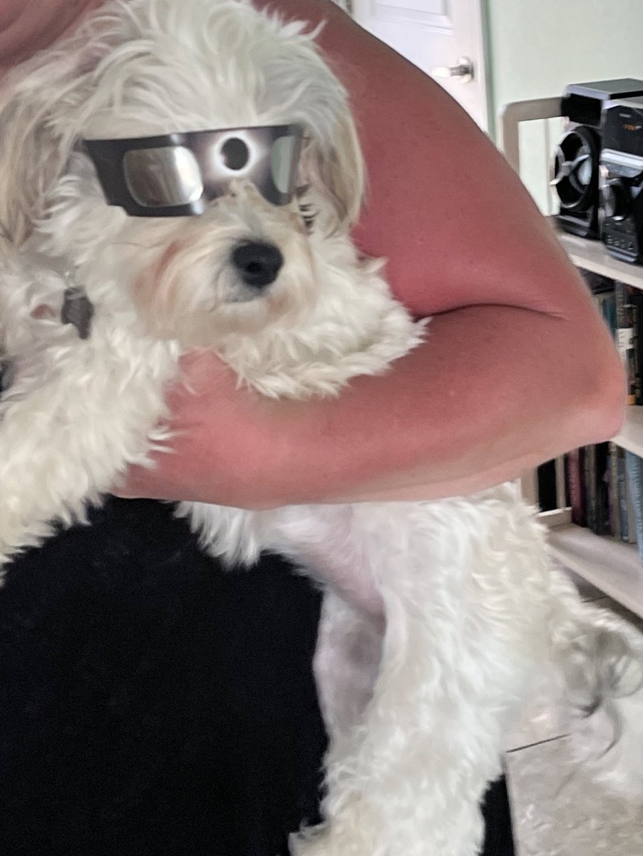 Who’s ready?!? ☀️🌑 🕶️