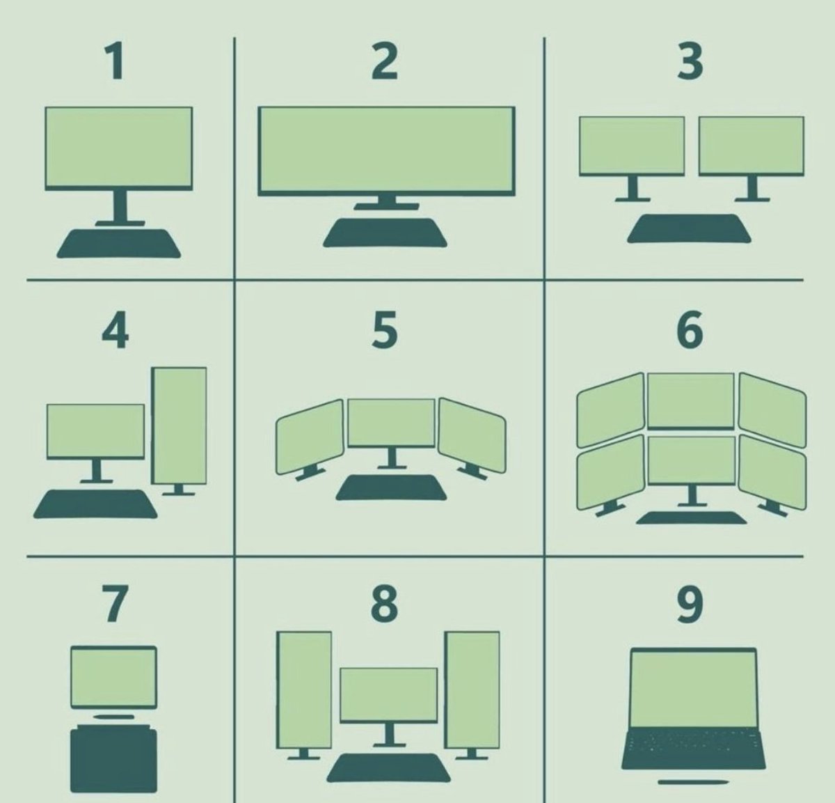 (2) - widescreen, always, in the office and at home. I tested dual screen (3), hate it.