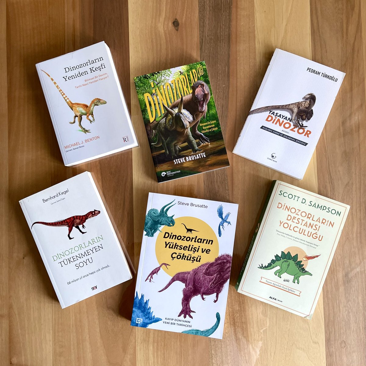Dinozorlar (omurgalı paleozoolojisi) hakkındaki Türkçe bilim kitabı sayısı 6’ya yükseldi.