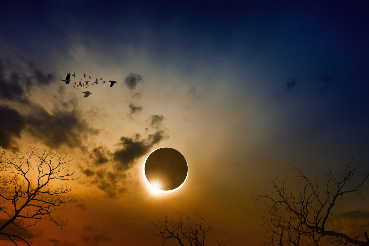 Today we will have a unique opportunity to observe a #TotalSolarEclipse! Let us know if you see any interesting behavior from bird and other wildlife around you. Enjoy & stay safe 😎#InternationalDarkSkyWeek 📷Igor Zh/Creative Commons