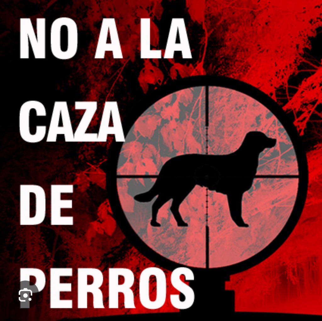 NO A LA LEY DE CAZA