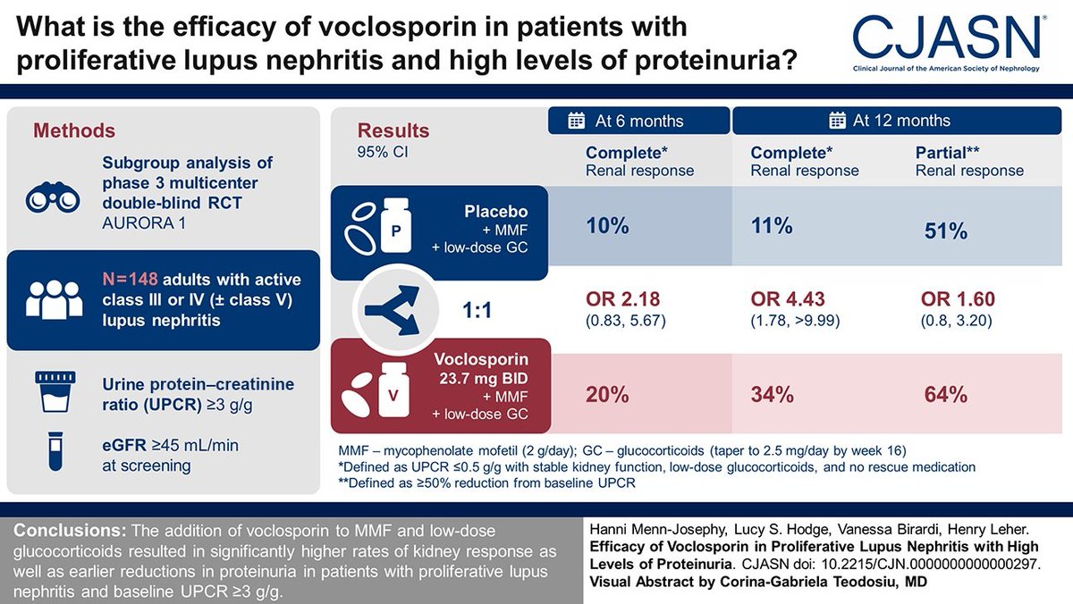 Lupus nephritis is a severe, yet common, renal complication of systemic lupus erythematosus. This study found the addition of voclosporin resulted in more participants with proliferative lupus nephritis achieving complete and partial renal responses bit.ly/CJASN0297