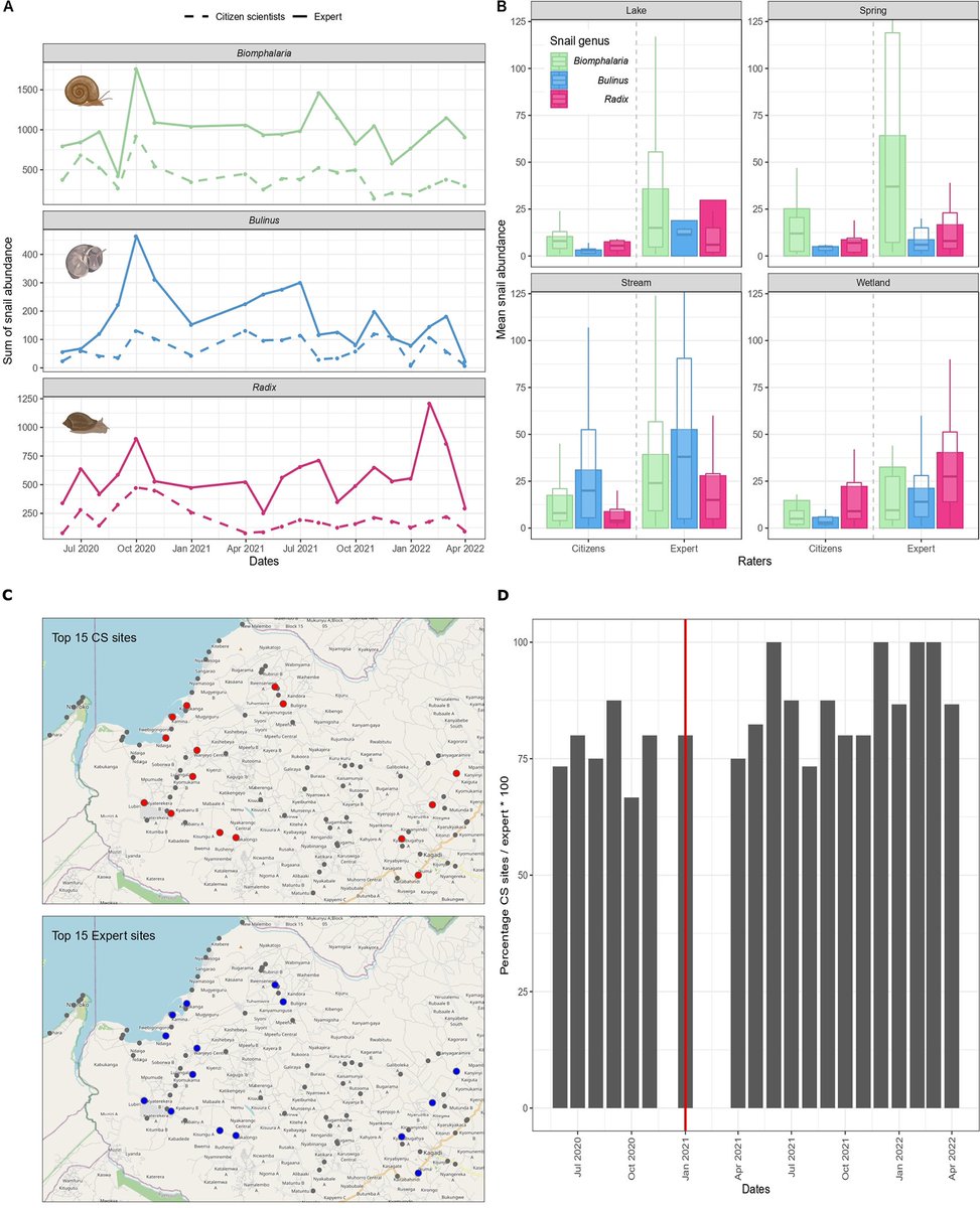 New from researchers at @MbararaUST, @africamuseumbe, and @KU_Leuven: Citizens can help to map putative transmission sites for snail-borne diseases 🔎 plos.io/3vIPTIN