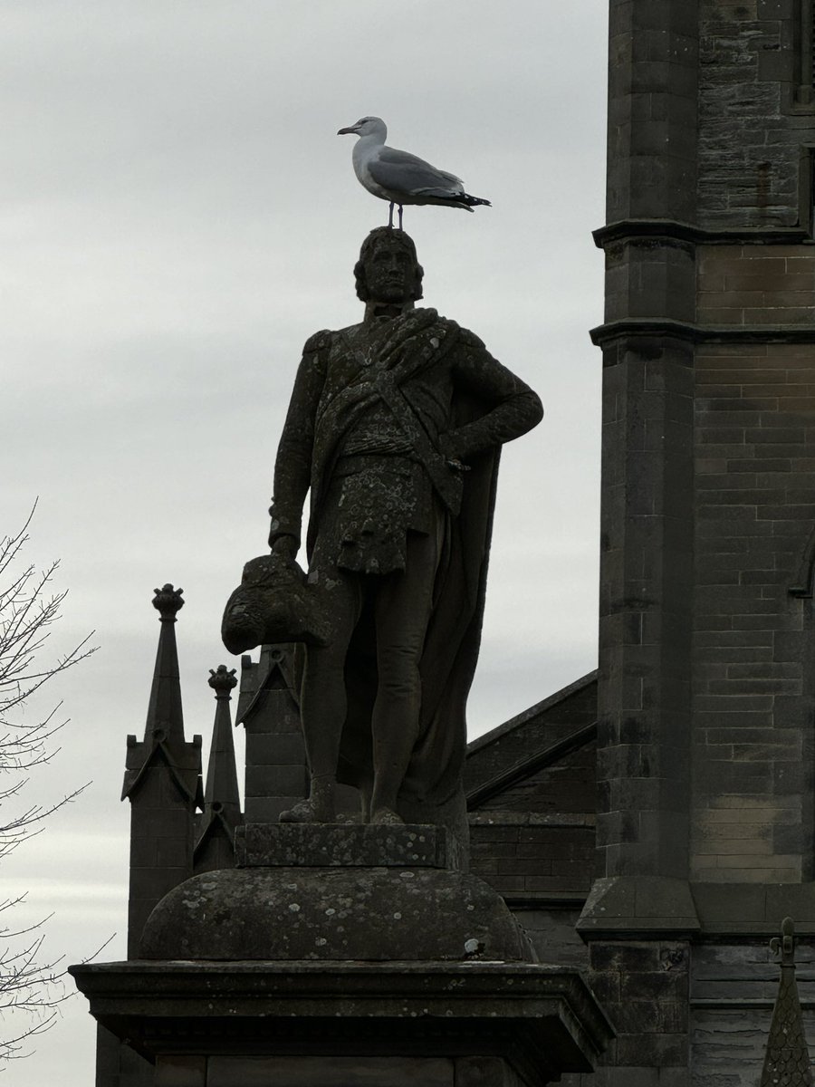 Sir John Sinclair - I know absolutely nothing about him, except that he currently has a seagull on his head #Thurso