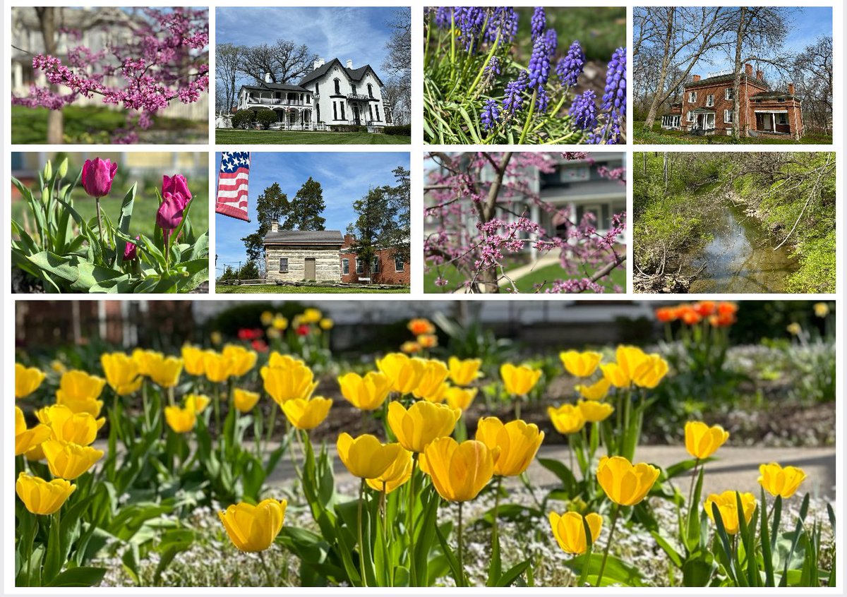 LeighAnsberry's tweet image. Happy #Eclipse Day to those who celebrate! Nothing but blue skies and sun here in beautiful Lebanon, #Ohio. Less than 2 hours to totality! 🌞

Seen on my walk today: