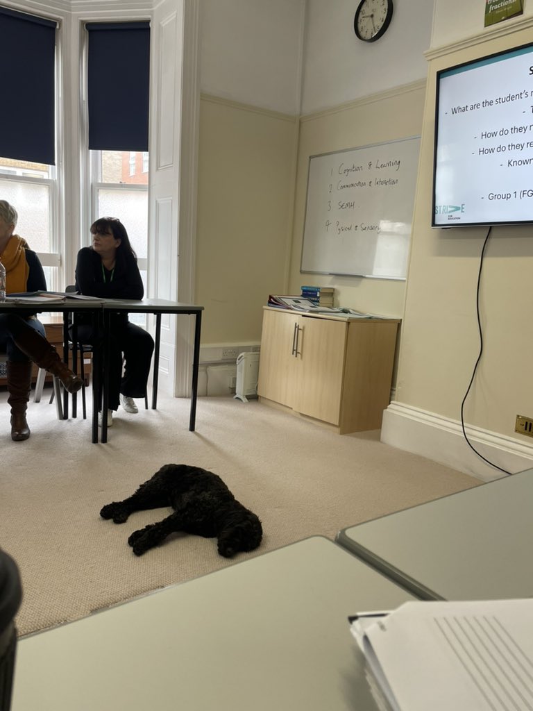 EducationStrive's tweet photo. It was wonderful to welcome back our fabulous team today, staff training before students return tomorrow.
Betty ๐พ was โready to learnโ although after a movement break she needed a nap! #harrogate #educationmatters #positiveregard #UPR #strivefamily #schooldog https://t.co/VUqpf79uvS