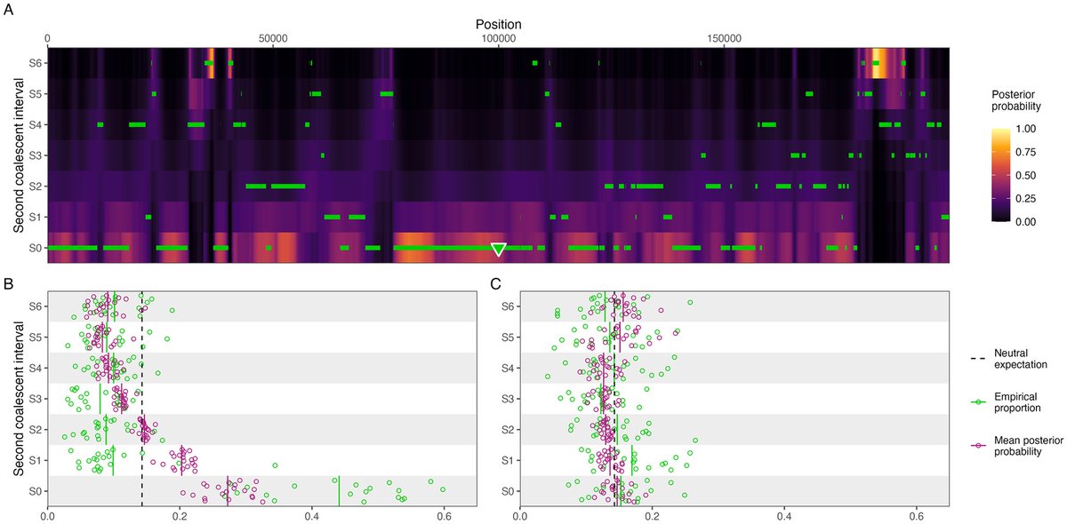 This recent study from researchers at @AarhusUni_int and @Harvard discusses using TRAILS for tree reconstruction of ancestry using incomplete lineage sorting. plos.io/3wUeniH