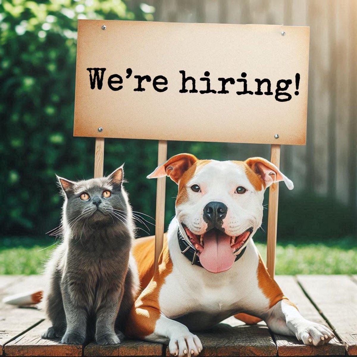 CACC Hiring! Calling all Animal Advocates! Help people & animals! These positions are open NOW! Apply this week: chi.gov/caccjobs #CACC #Careers #ChicagoAnimals #NewPosition