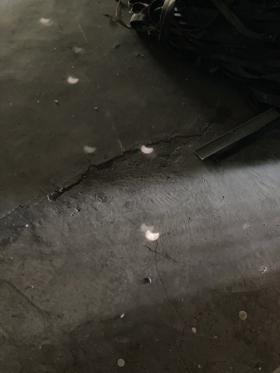 DanielInferno's tweet image. Ya que no nos dejan salir a mirar: #Eclipse2024