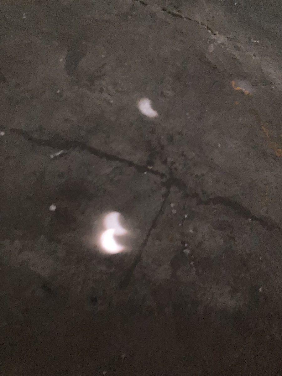 DanielInferno's tweet image. Ya que no nos dejan salir a mirar: #Eclipse2024