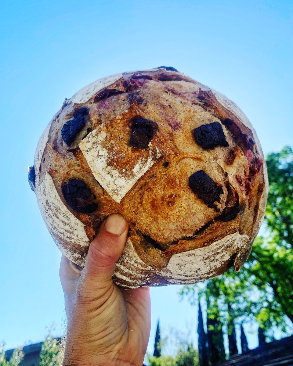 Eclipsing the eclipse with chocolate raspberry sourdough #Eclipse2024