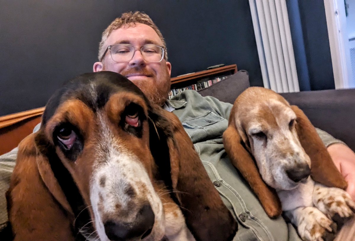 Back at home with my girls again after a night away with work. 🐕🐕 #BassetHound #BassetLife