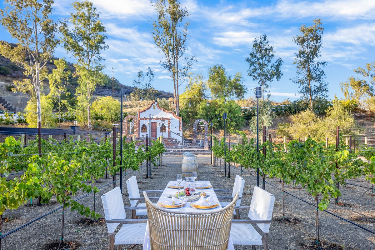 Vineyard Vibes 🍇

Reimagined and reinvented with top-of-the-line products and materials, Calibu Vineyard is a move-in ready #vineyard estate that is poised to wow and entertain for generations. [Listing: The Shevins |  tinyurl.com/24520-Calibu-V…] #EllimanCalifornia #Calabasas