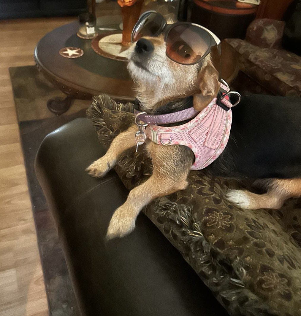 Who is ready to watch the eclipse? Remember to wear your glasses 🤓