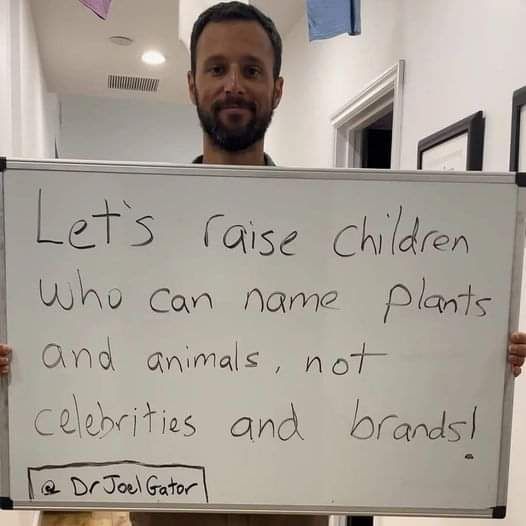 David Wolfe (@davidwolfe) on Twitter photo 