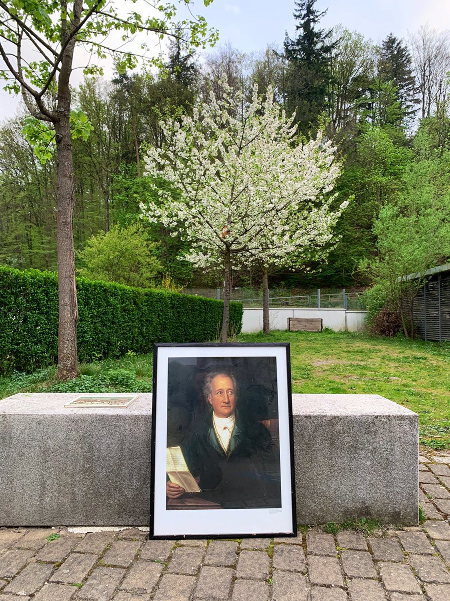 Der Neuzugezogenen Patrizierviertel deutscher Unistädte: halten auch im Frühlingsputz die Bildungfahne hoch. Mitnehmen, nicht mitnehmen? #BaWü #SüdWest #Teutopien #BRDNoir @jonathanbfine @Johannes42