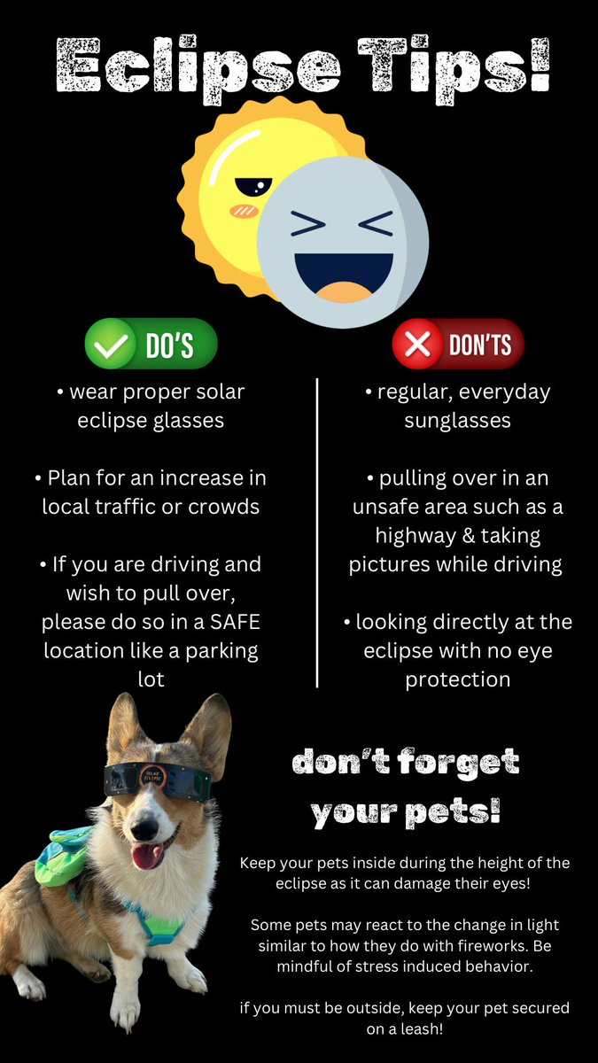 Sharing some Eclipse Tips for today!  #HolisticEducation #Holistichealth #Pets #OMAPittsburgh #Eclipse