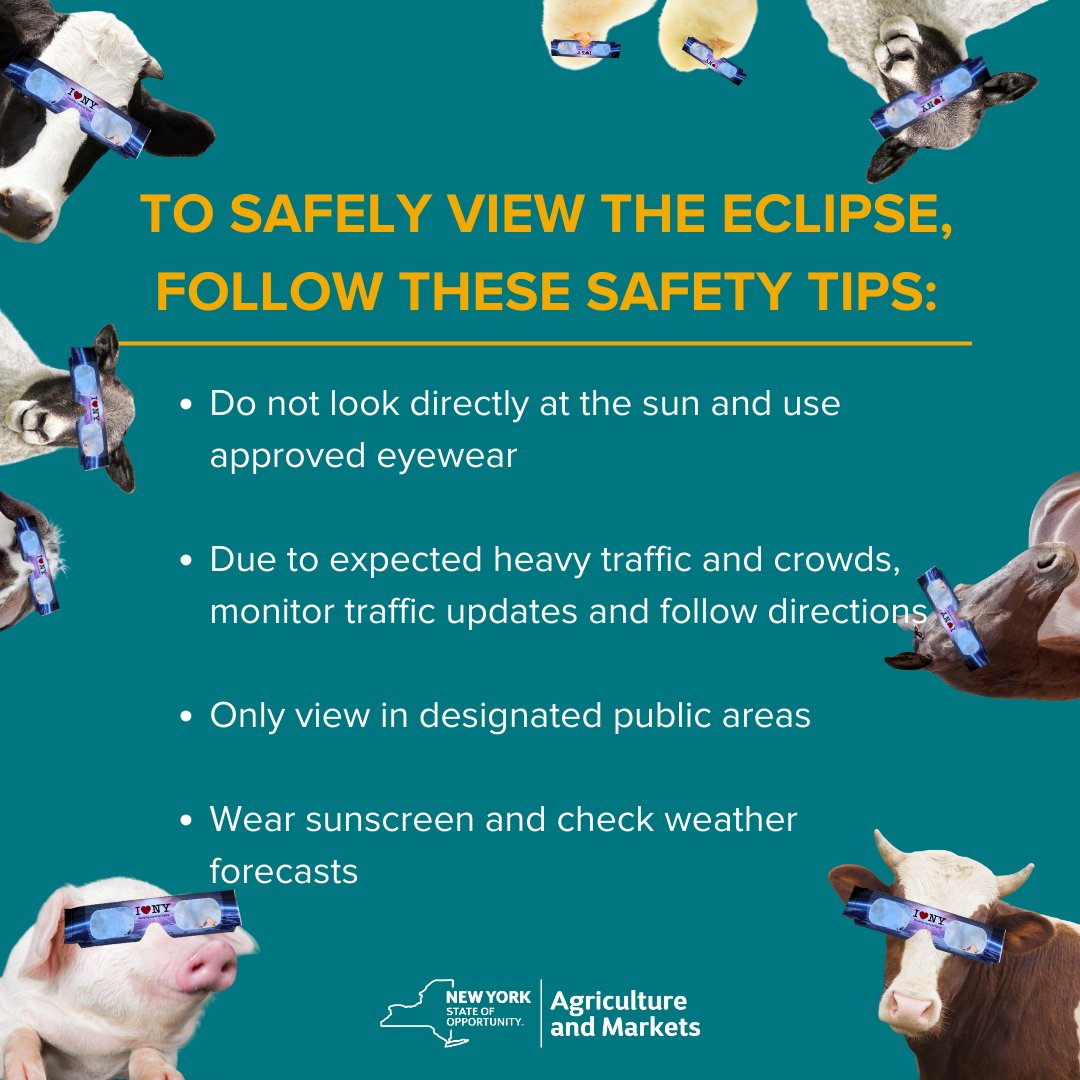 Today's the day! Remember to be safe! If you are watching the eclipse from a New York State park, be sure to download the @nystateparks Explorer App and “favorite” your intended park location for the latest eclipse updates. For more information, visit parks.ny.gov/eclipse