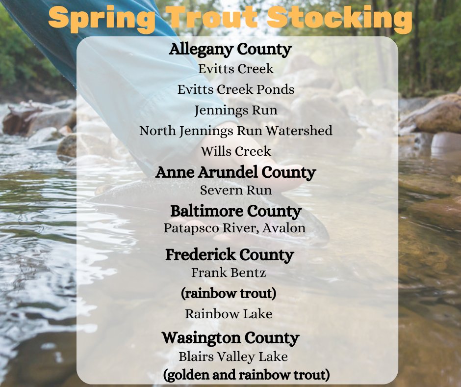 Spring Trout Stocking April 8, 2024 Find the trout stocking map and more at: dnr.maryland.gov/fisheries/Page…