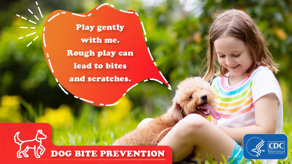 Kids are the most common victims of dog bites. To keep your child safe, teach them how to safely interact with dogs: ✅ Ask for permission to pet ✅ Play gently ✅ Leave sleeping, eating, or scared dogs alone More tips: bit.ly/cdcdogbite #NationalDogBitePreventionWeek