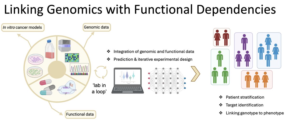 Big couple of days for the team at #AACR24. <a href="/mgarnett11/">Mathew Garnett</a> will be presenting *today* on the development of an organoid biobank for dependency mapping. Ballroom 20CD at 13:25.  Also, don't miss <a href="/GabrielePicco2/">Gabriele Picco</a> tomorrow presenting novel WRN helicase inhibitors.