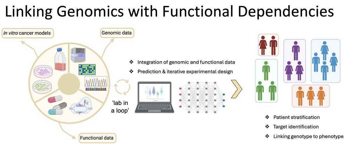 Big couple of days for the team at #AACR24. @mgarnett11 will be presenting *today* on the development of an organoid biobank for dependency mapping. Ballroom 20CD at 13:25. Also, don't miss @GabrielePicco2 tomorrow presenting novel WRN helicase inhibitors.